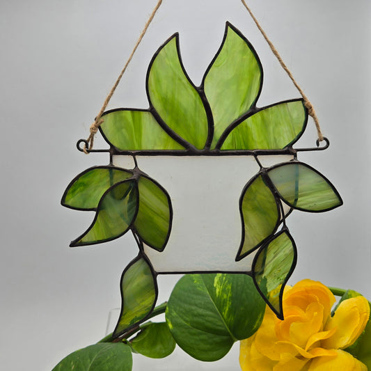 Hanging Plant