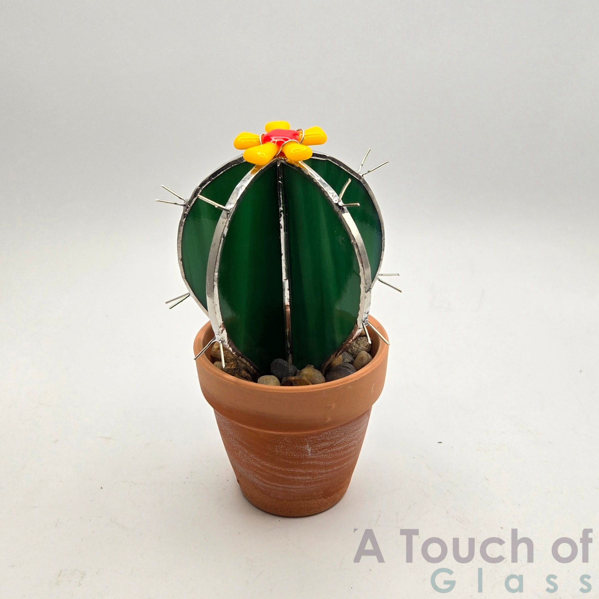 Terra Cotta pot Cactus with Flower (14 cm / 5.5 inches)