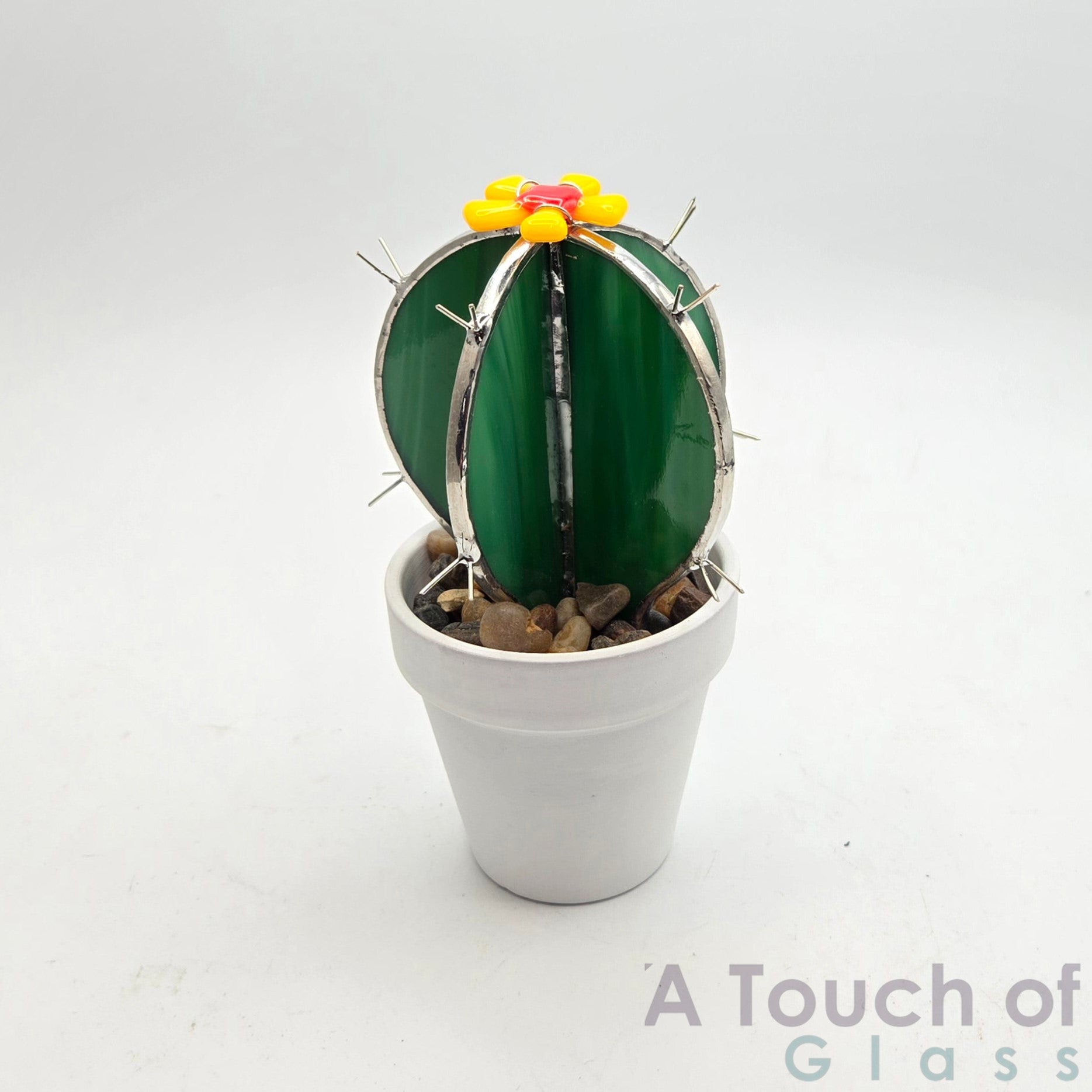 White Pot Cactus with Flower (14 cm / 5.5 inches)