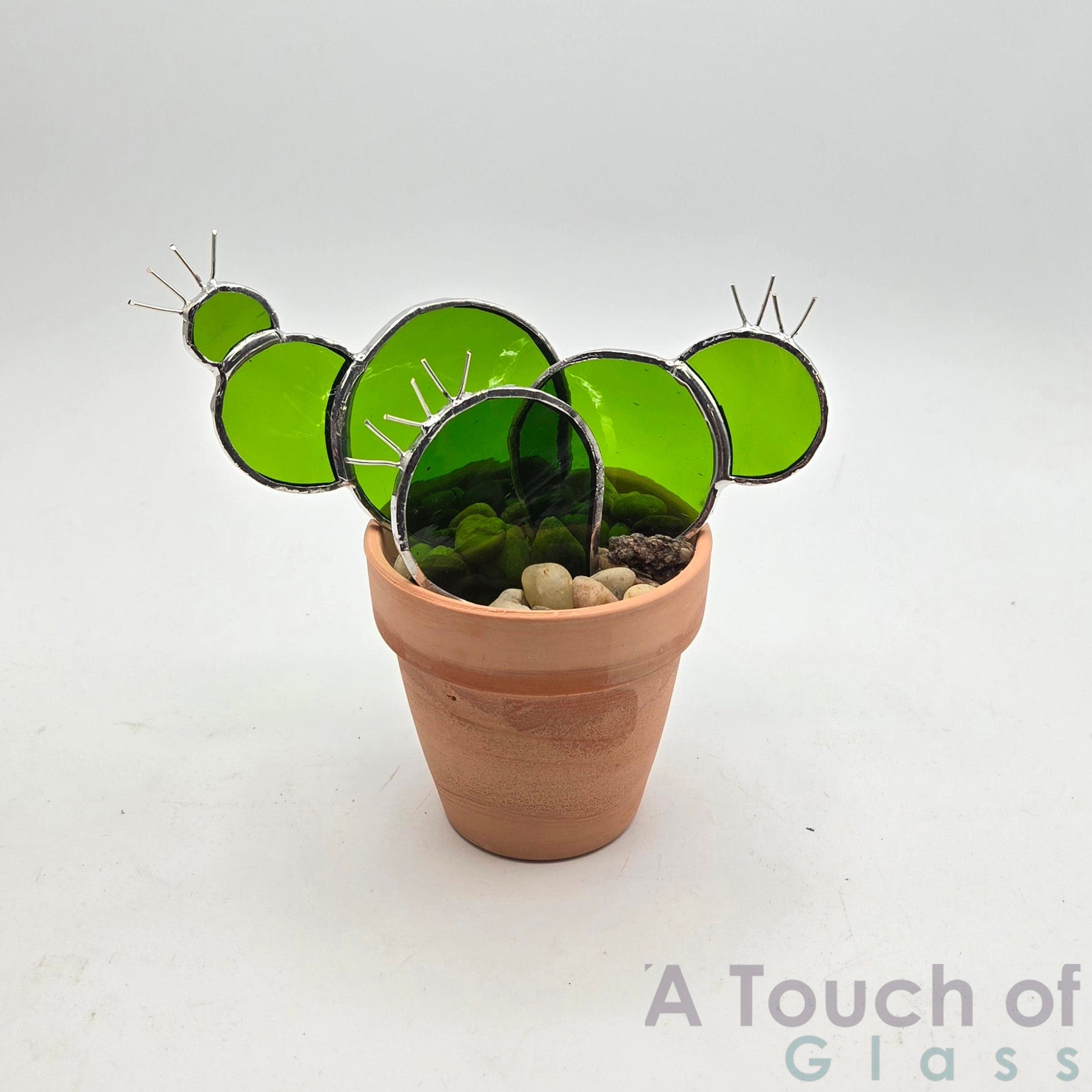 Terra Cotta Prickly Pear (12 cm / 4.75 inches)
