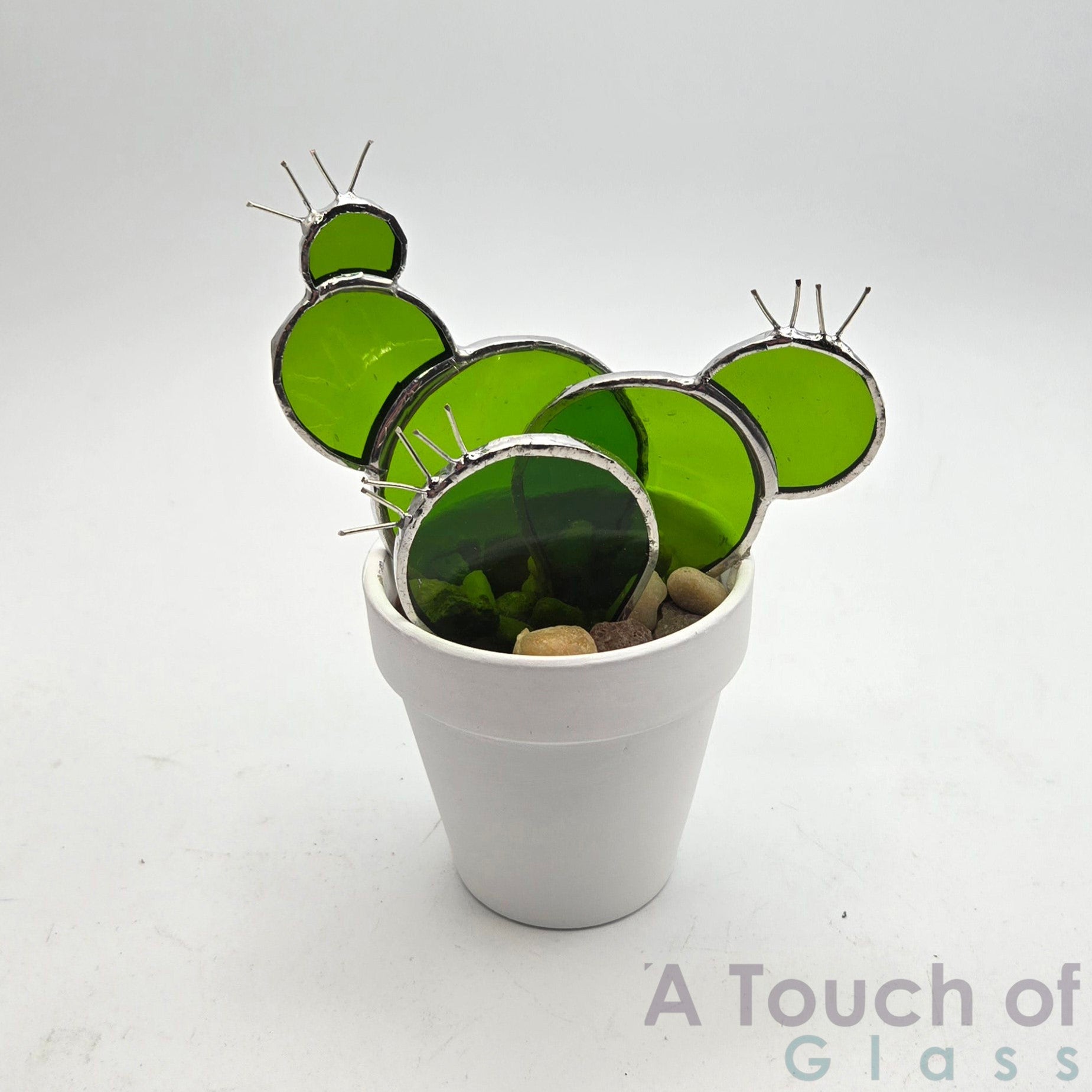 White Pot Prickly Pear (12 cm / 4.75 inches)
