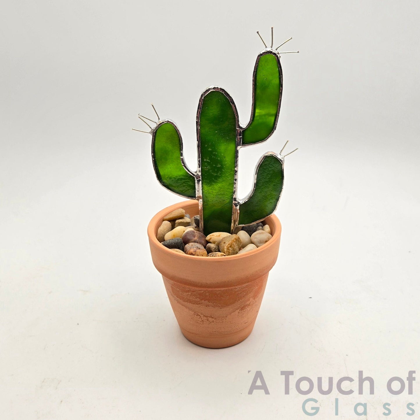 Terra Cotta pot Saguaro (15.5 cm / 6 inches)