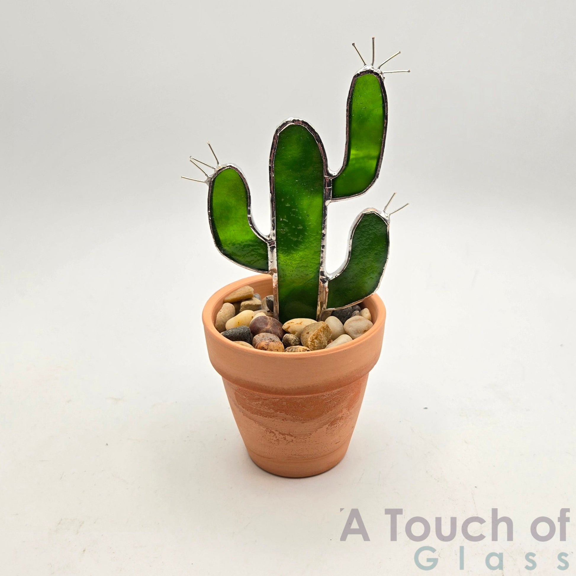 Terra Cotta pot  Saguaro (15.5 cm / 6 inches)